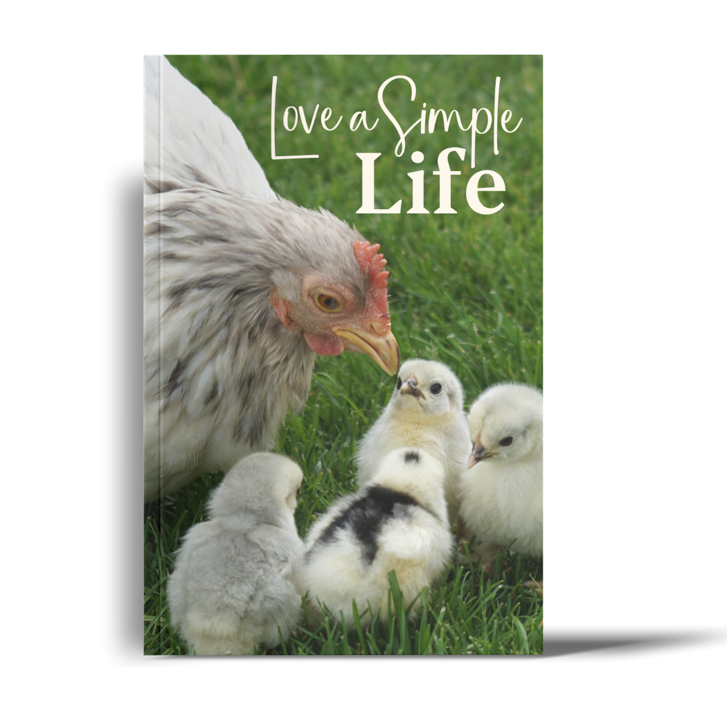 Love a Simple Life: A Lined Journal with Affirmations