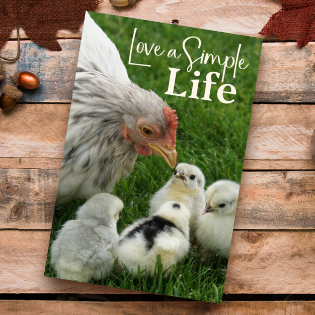 Love a Simple Life: A Lined Journal with Affirmations