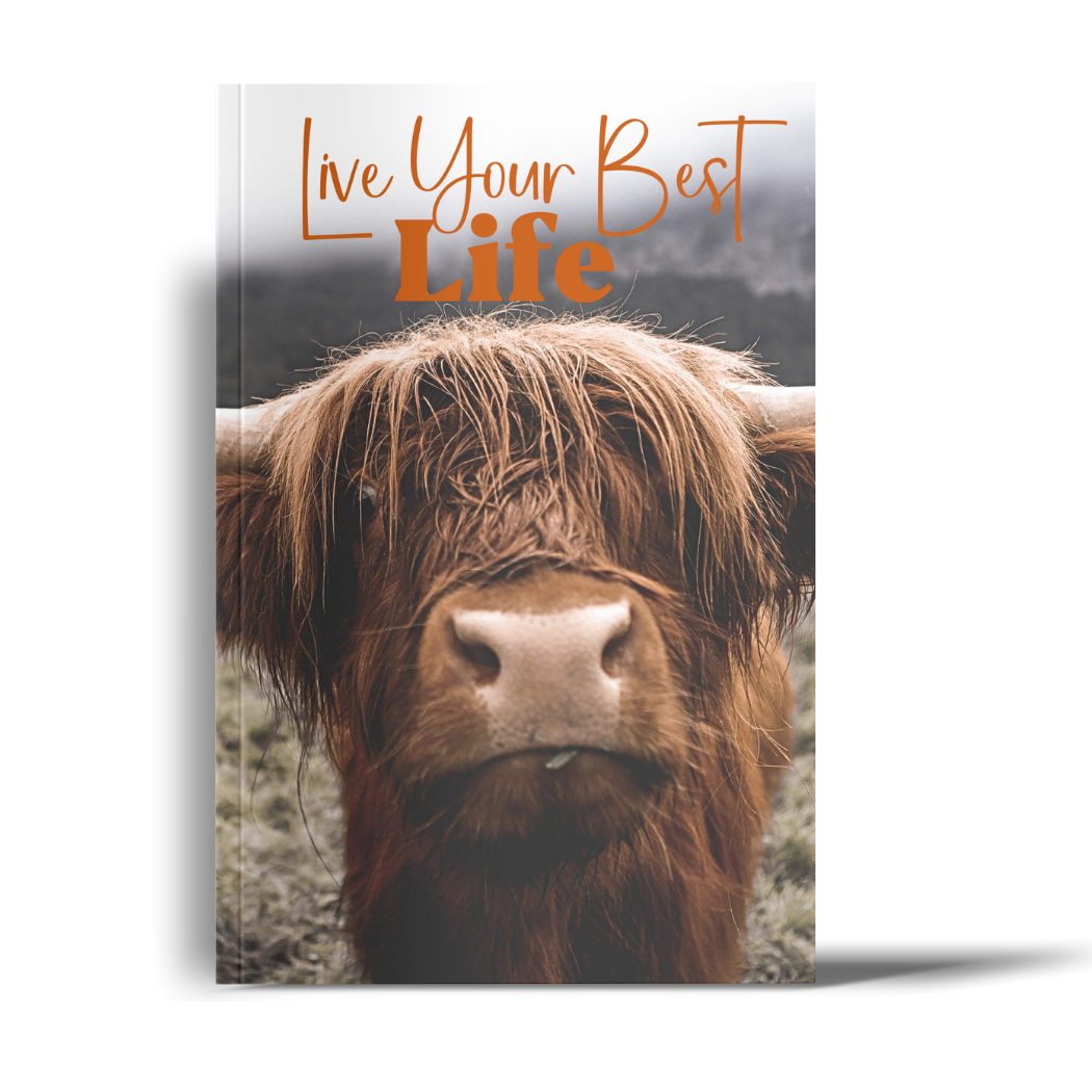 Live Your Best Life: A Lined Journal with Affirmations