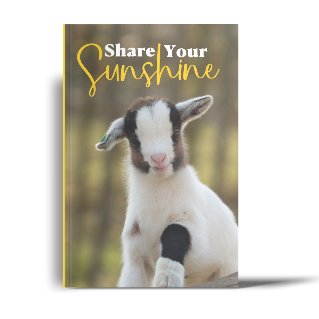 Share Your Sunshine: A Lined Journal with Affirmations