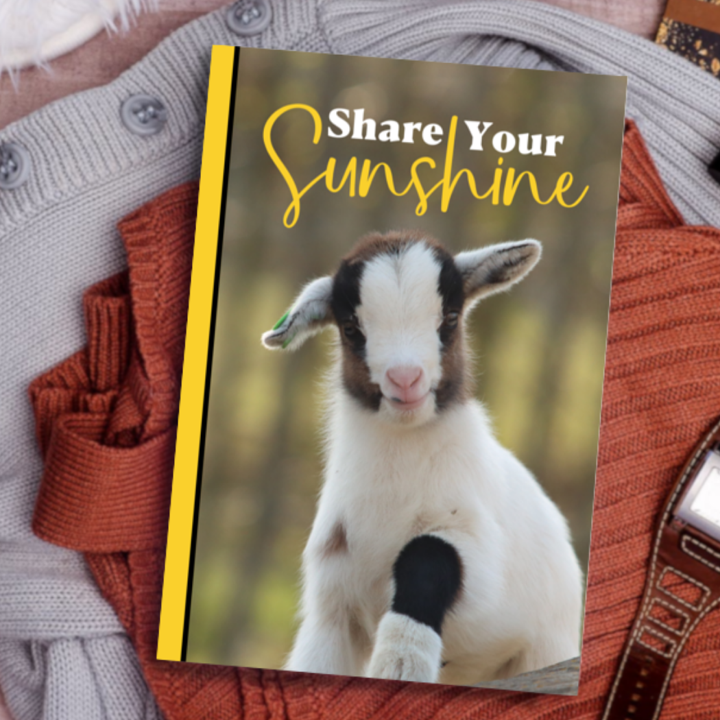 Share Your Sunshine: A Lined Journal with Affirmations