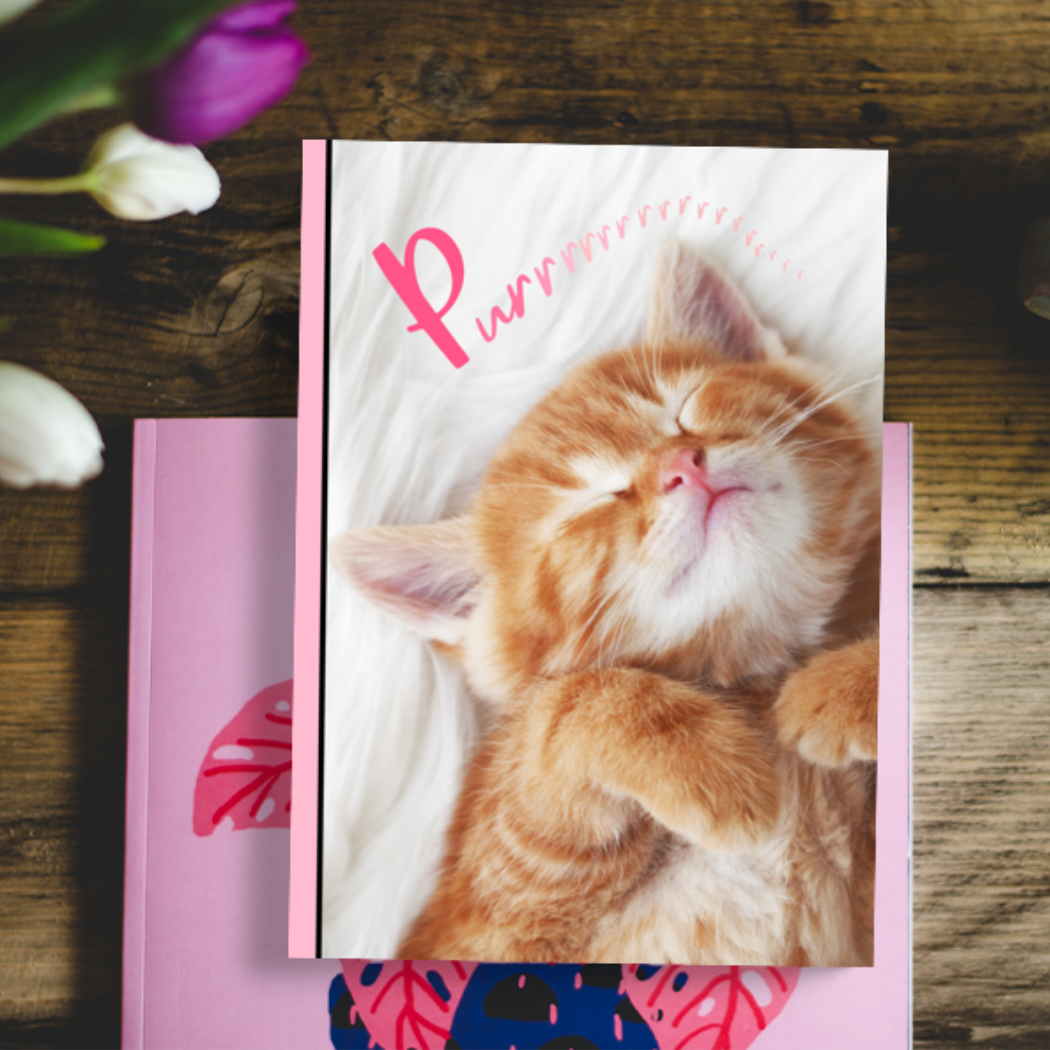Cozy Kitty: A Lined Journal with Affirmations