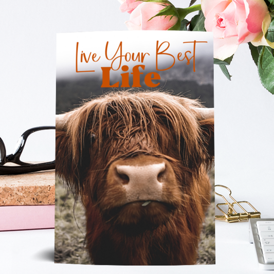 Live Your Best Life: A Lined Journal with Affirmations
