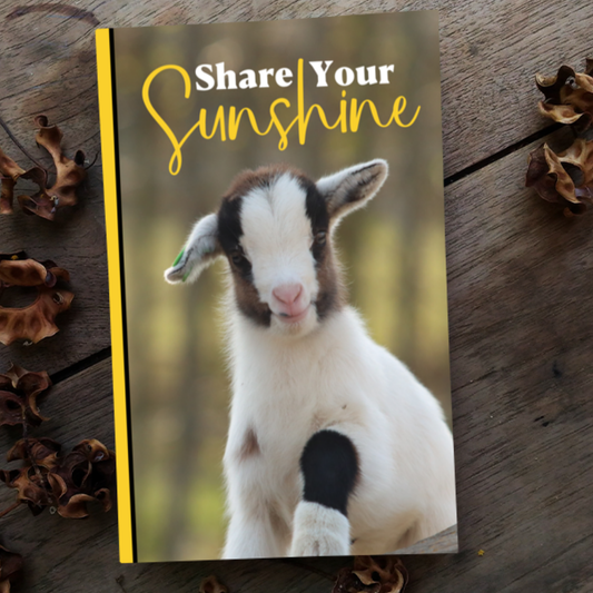 Share Your Sunshine: A Lined Journal with Affirmations