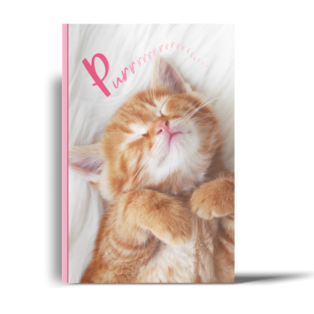 Cozy Kitty: A Lined Journal with Affirmations